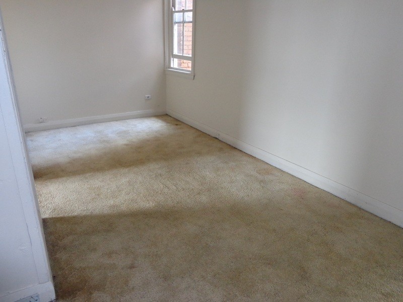 Rear/403 Burwood Road, Belmore NSW 2192