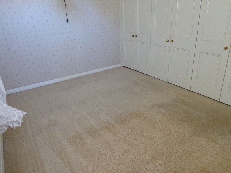 72 Trafalgar Street, Belmore NSW 2192