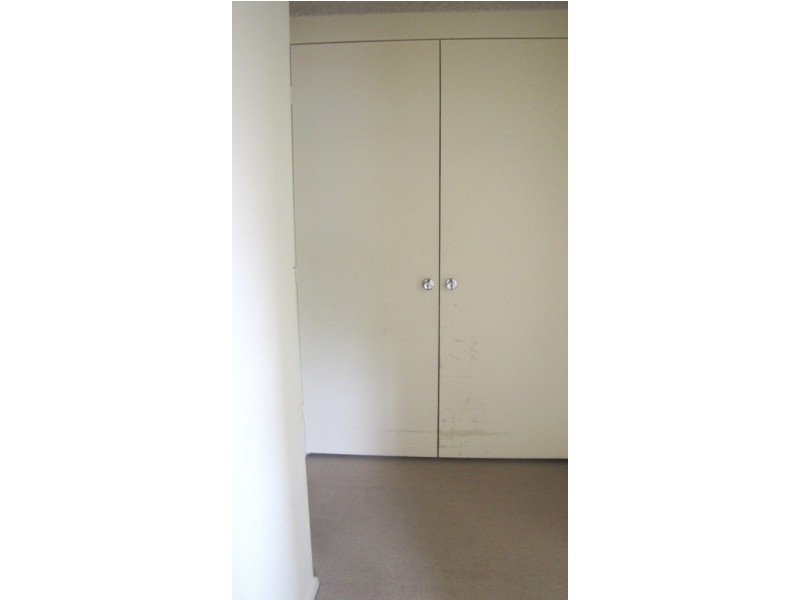 1/86 Knox Street, Belmore NSW 2192