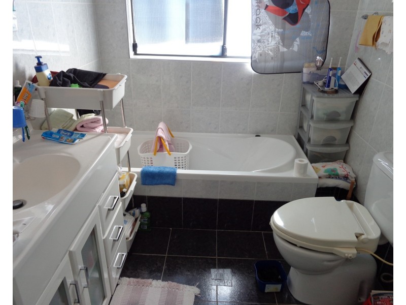 22 Platts Avenue, Belmore NSW 2192