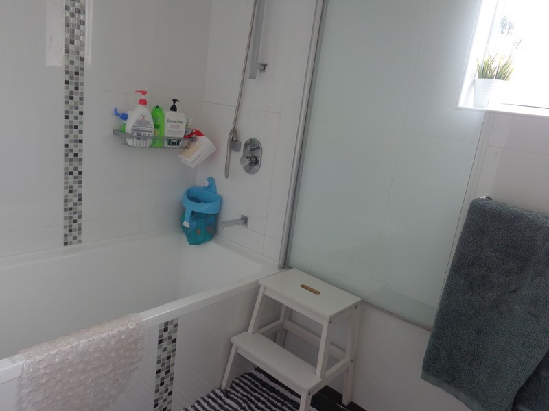 17 Lucerne Street, Belmore NSW 2192