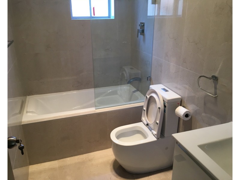 33 Yangoora Road, Belmore NSW 2192