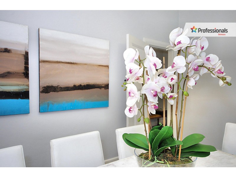 30 Chelmsford Avenue, Belmore NSW 2192