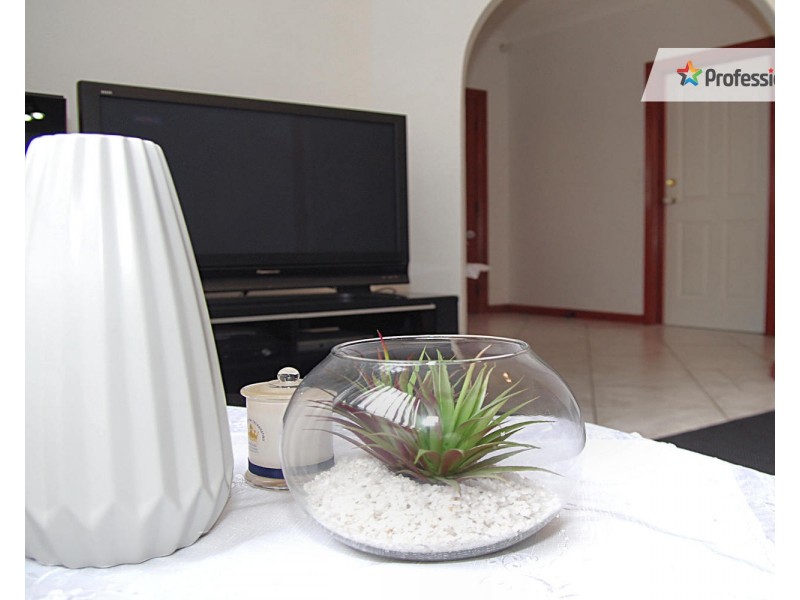 56 Collins Street, Belmore NSW 2192