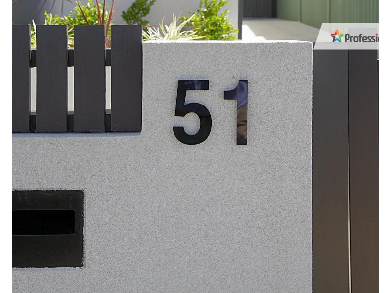 51 Allan Avenue, Belmore NSW 2192