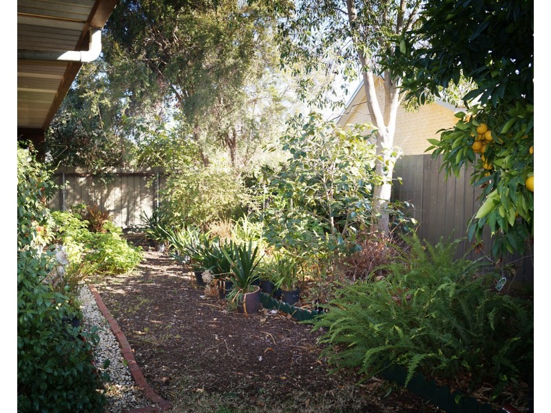 19 Delisle Avenue, Shepparton VIC 3630