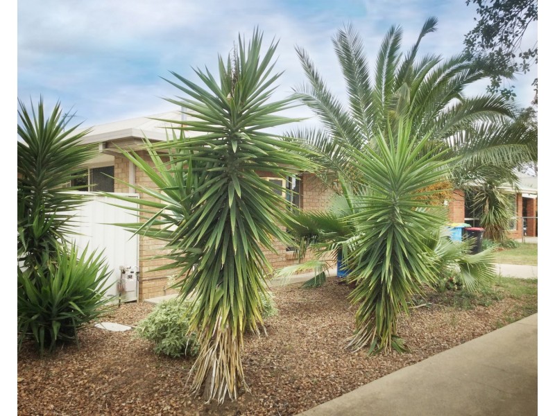 1/12 Homewood Drive, Mooroopna VIC 3629