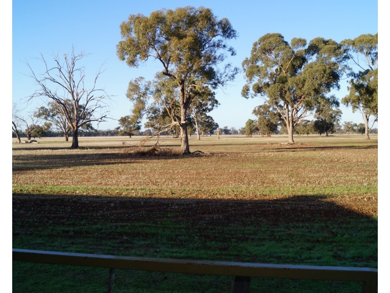 Numurkah VIC 3636
