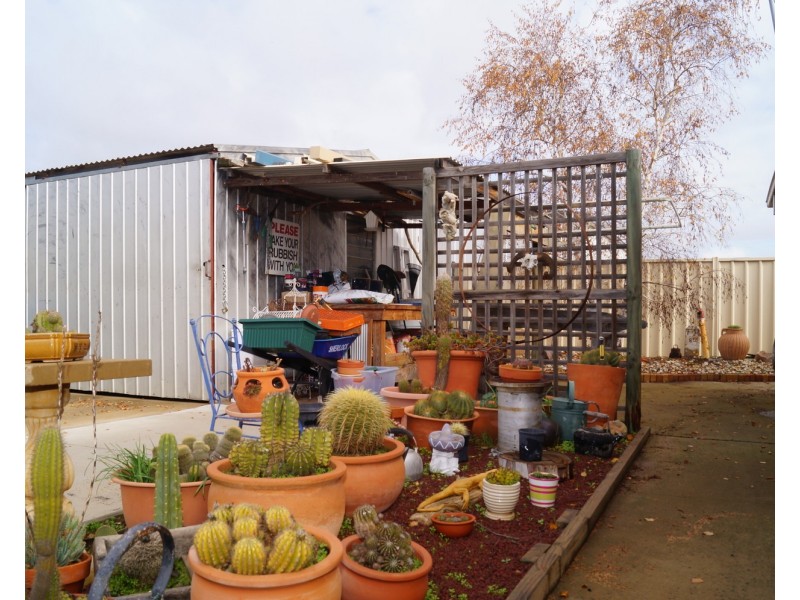 19 Pell Crescent, Mooroopna VIC 3629