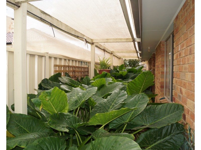 19 Pell Crescent, Mooroopna VIC 3629