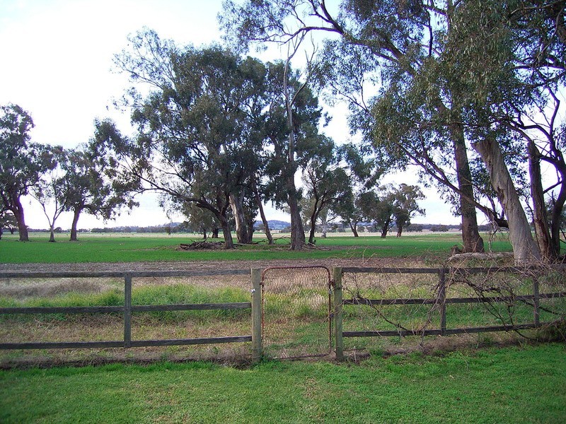 2195 Midland Highway, Cosgrove VIC 3631