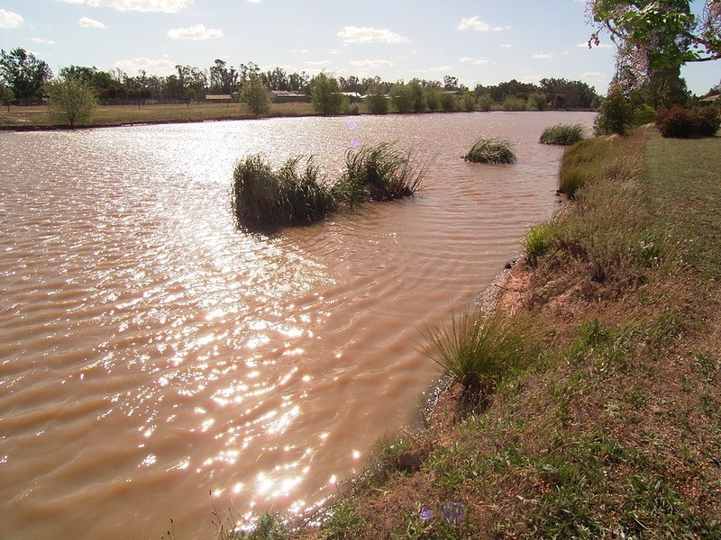 7685 Goulburn Valley  Highway, Kialla VIC 3631