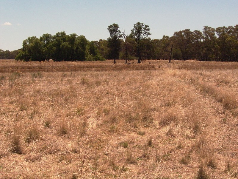 Lot 4, 5 & 6/2597 Katamatite Road, Numurkah VIC 3636
