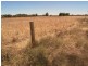 Lot 4, 5 & 6/2597 Katamatite Road, Numurkah VIC 3636