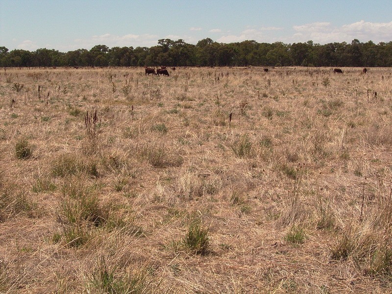 Lot 4, 5 & 6/2597 Katamatite Road, Numurkah VIC 3636