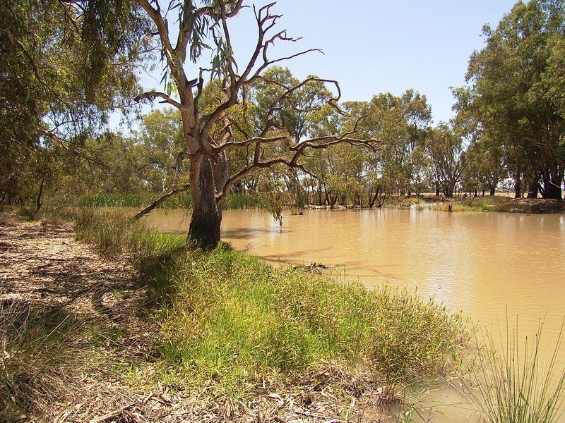 Lot 4, 5 & 6/2597 Katamatite Road, Numurkah VIC 3636