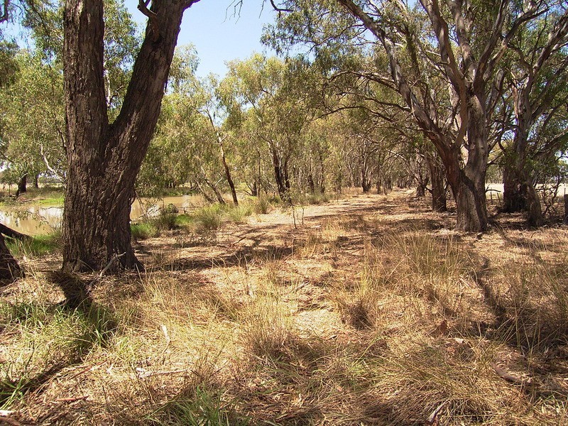 Lot 4, 5 & 6/2597 Katamatite Road, Numurkah VIC 3636