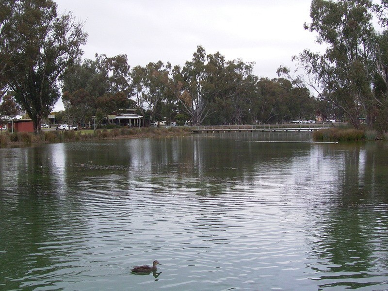 4 Collodetti  Crescent, Shepparton VIC 3630