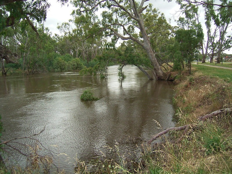 49 Mason  Street, Shepparton VIC 3630
