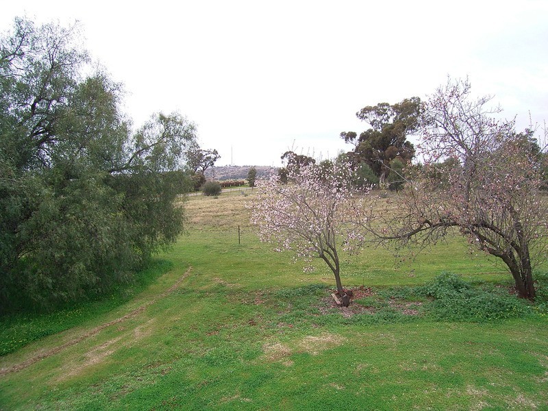 58 Dookie  Street, Dookie VIC 3646