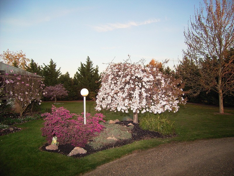 9 Bowland  Close, Congupna VIC 3633