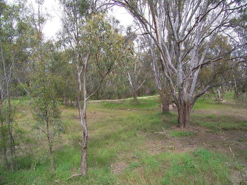 24 Lachlan Crescent, Shepparton VIC 3630