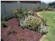 222 Waranga  Drive, Kialla VIC 3631