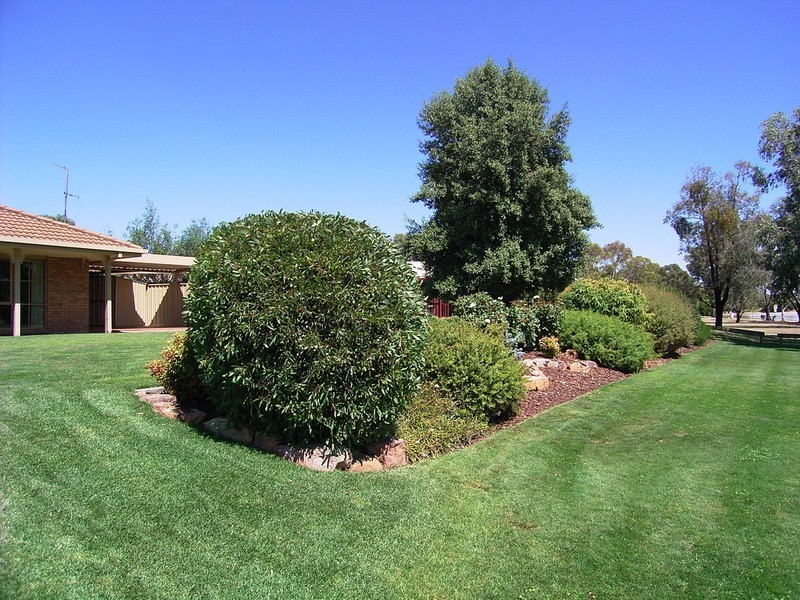 19 Ganaway  Crescent, Kialla VIC 3631