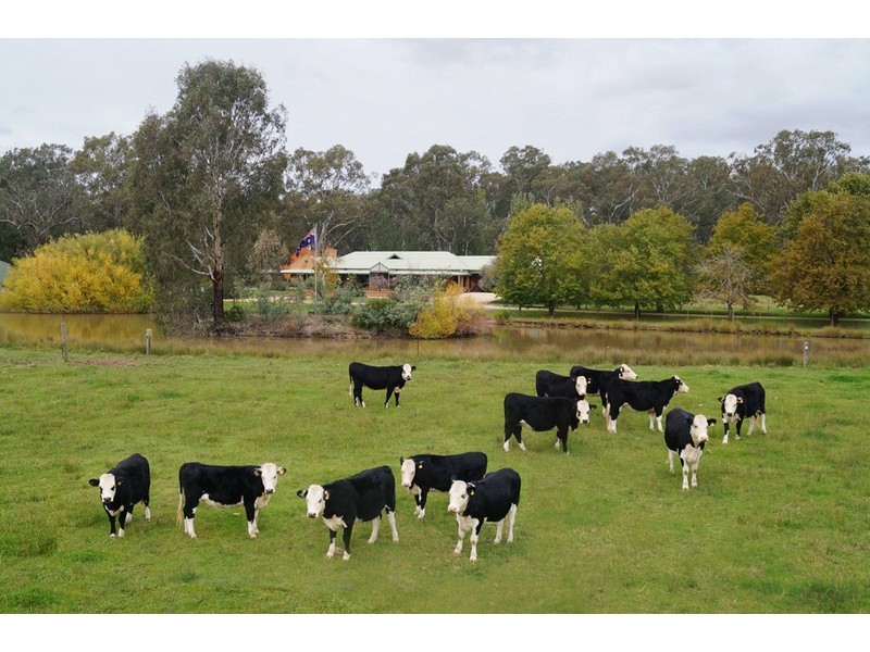 95 Shepparton-Euroa Road, Shepparton East VIC 3631