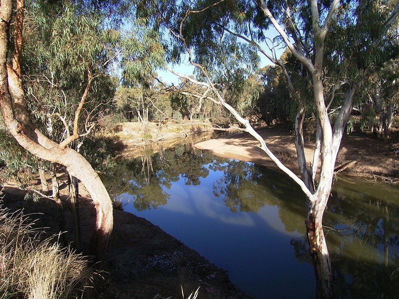 1310 Toolamba Road, Toolamba VIC 3614