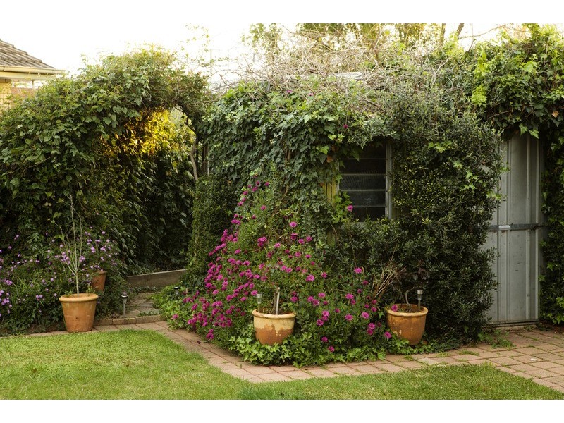 16 Hill Street, Shepparton VIC 3630