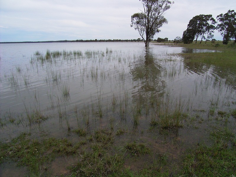 58 Darby  Road, Waranga Shores VIC 3612