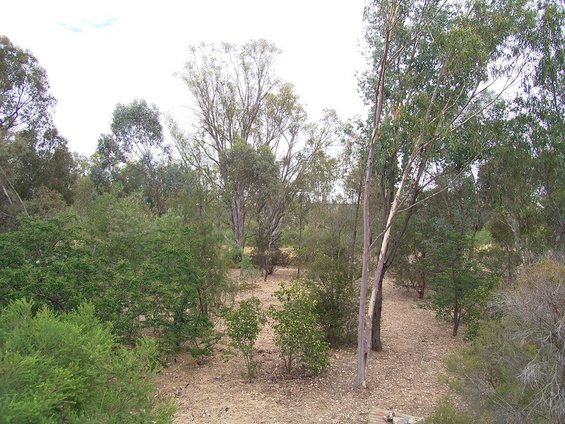 7 Silvan  Crescent, Kialla VIC 3631