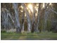 111  Hassett Street, Shepparton VIC 3630