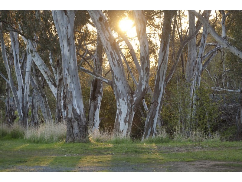 111  Hassett Street, Shepparton VIC 3630