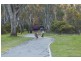 111  Hassett Street, Shepparton VIC 3630
