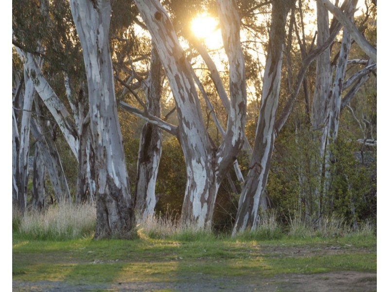 111 Hassett Street, Shepparton VIC 3630