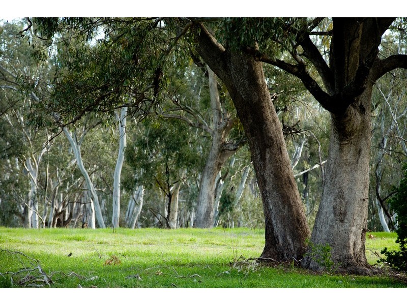 5 Flametree Place, Kialla VIC 3631