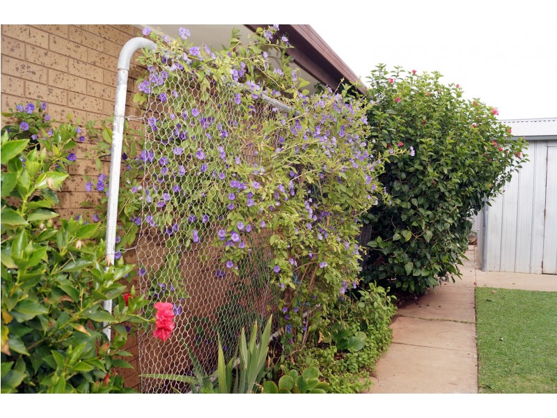 2 Nolan Court, Shepparton VIC 3630