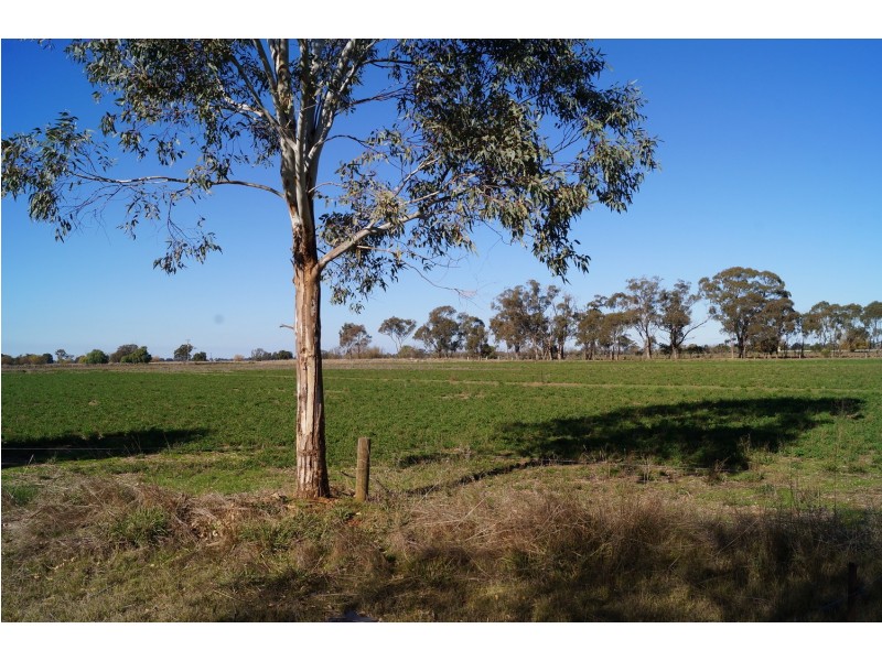 110 Madill Road, Undera VIC 3629