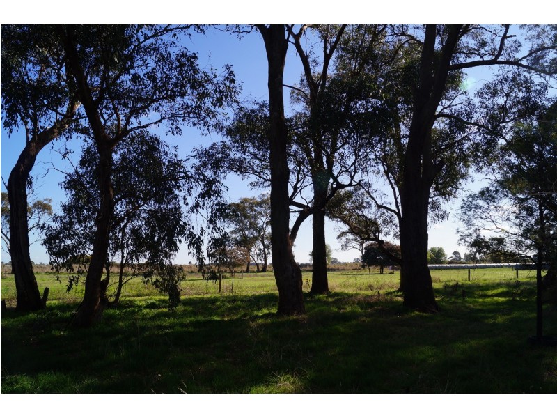 110 Madill Road, Undera VIC 3629