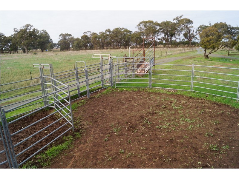 3037 Midland Highway, Stanhope VIC 3623