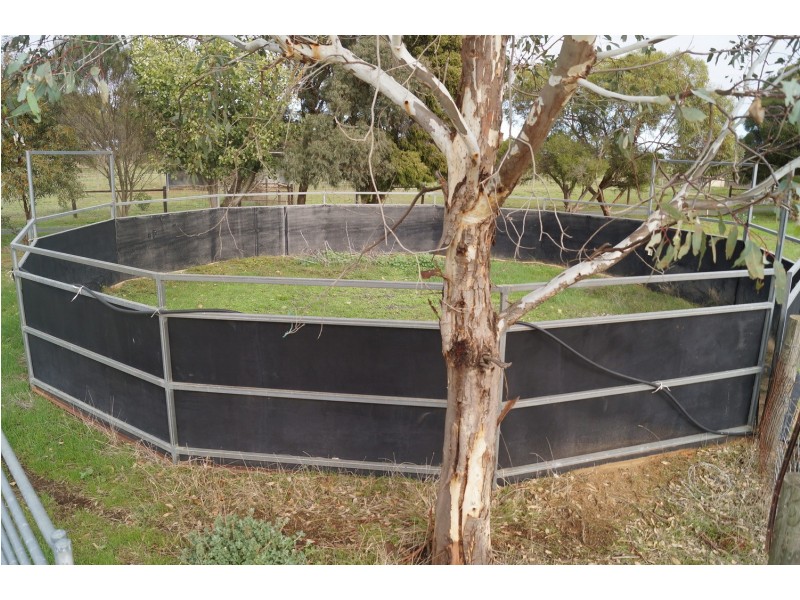 3037 Midland Highway, Stanhope VIC 3623