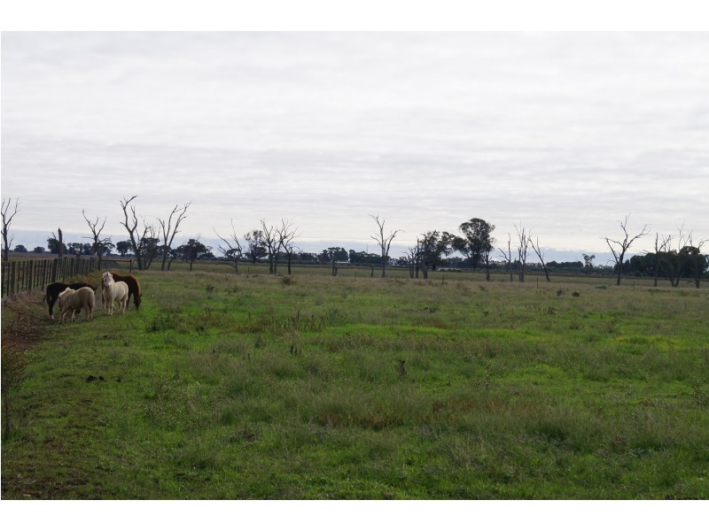 3037 Midland Highway, Stanhope VIC 3623