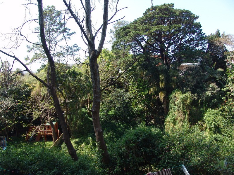 2/78 Drumalbyn  Road, Bellevue Hill NSW 2023