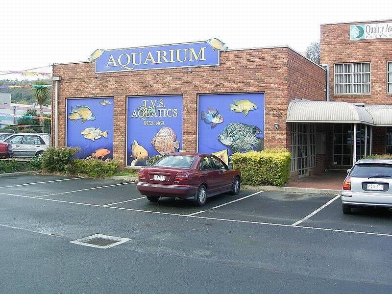 Upper Ferntree Gully VIC 3156