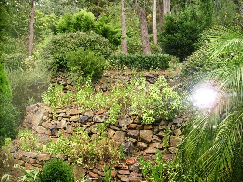 30 Wynette Avenue, Upper Ferntree Gully VIC 3156