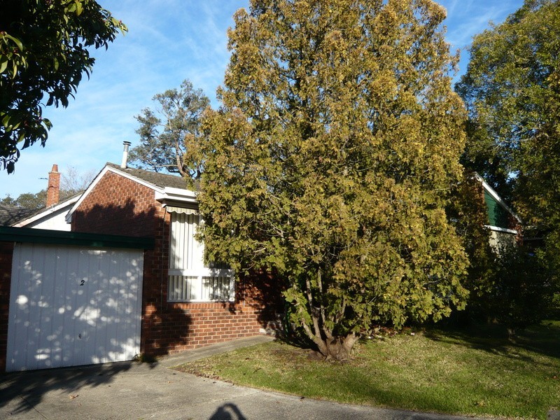 2/12-14 Vernon Street, Croydon VIC 3136