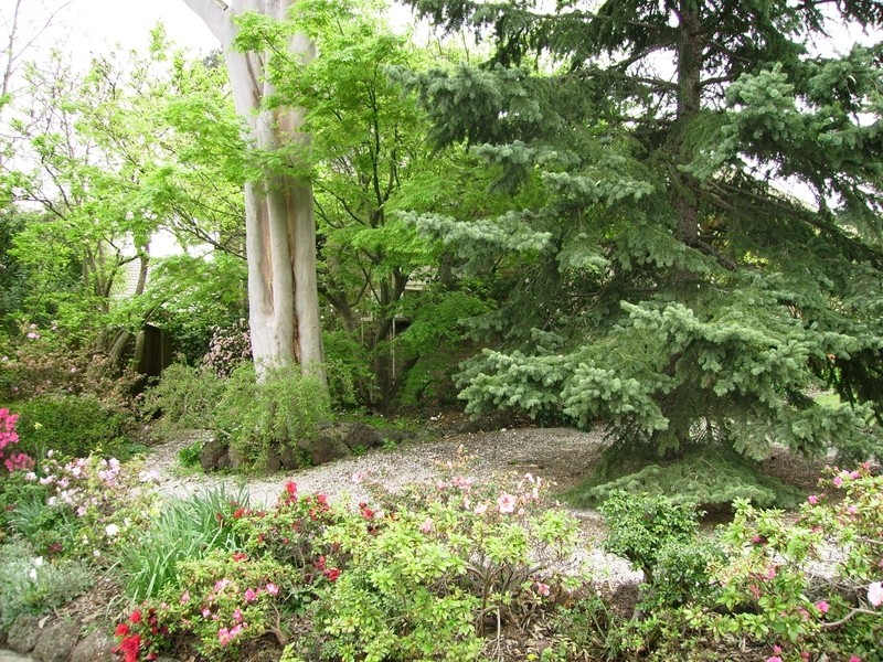 10 Colbury Road, Bayswater North VIC 3153