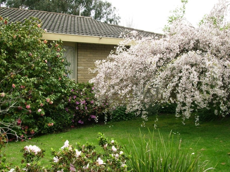 10 Colbury Road, Bayswater North VIC 3153